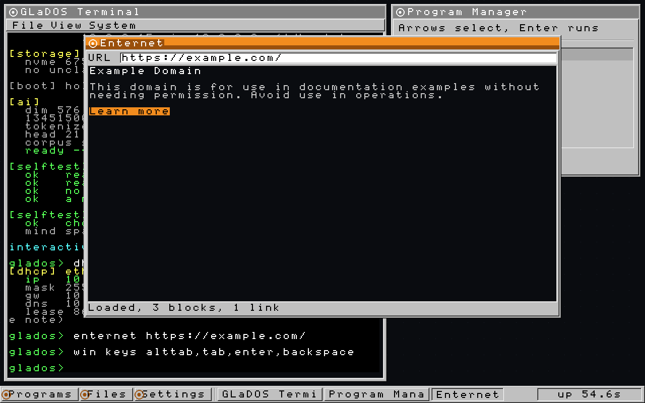 The Enternet browser having navigated back to example.com from the IANA page