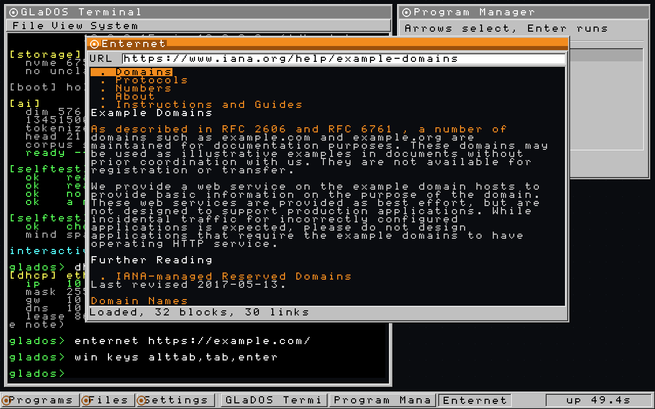 The Enternet browser showing the IANA example-domains page after following a hyperlink